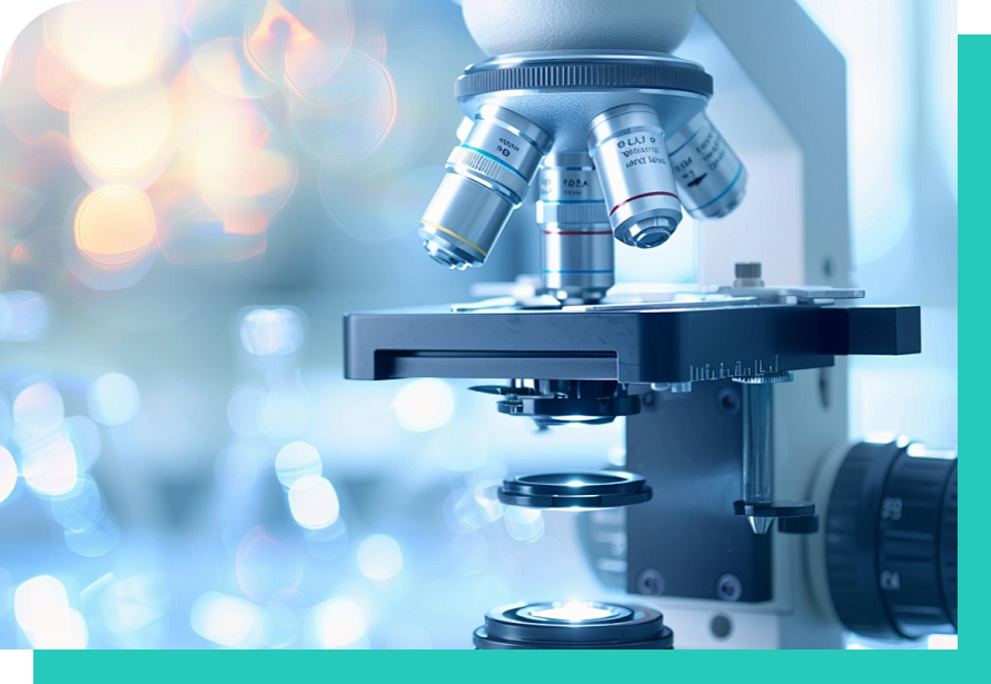 Filosof&iacute;a y Compromisos de Calidad