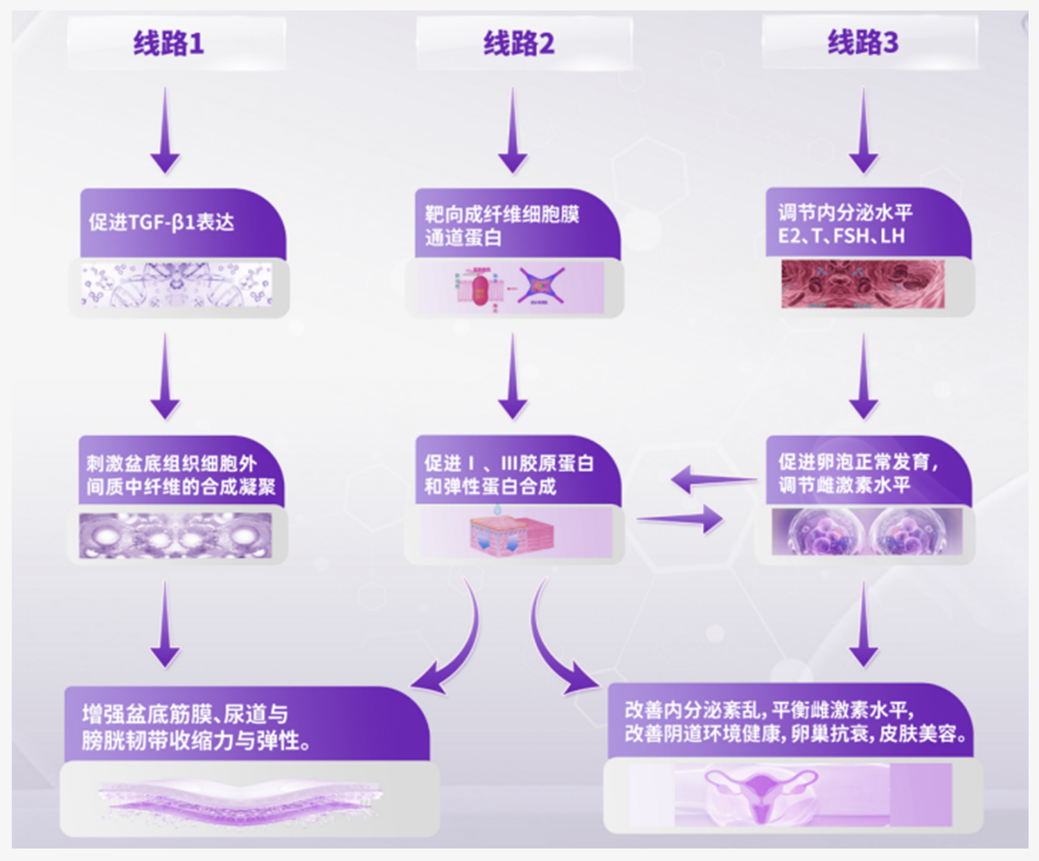 Reparaci&oacute;n de los m&uacute;sculos del suelo p&eacute;lvico (7)