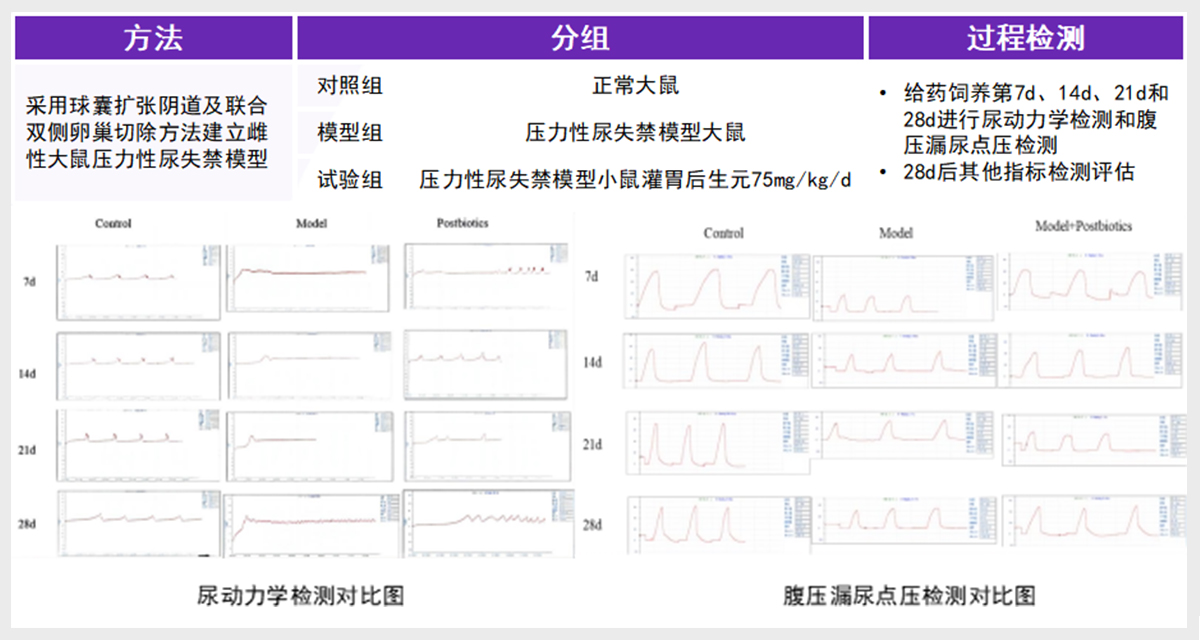 Reparaci&oacute;n de los m&uacute;sculos del suelo p&eacute;lvico (9)