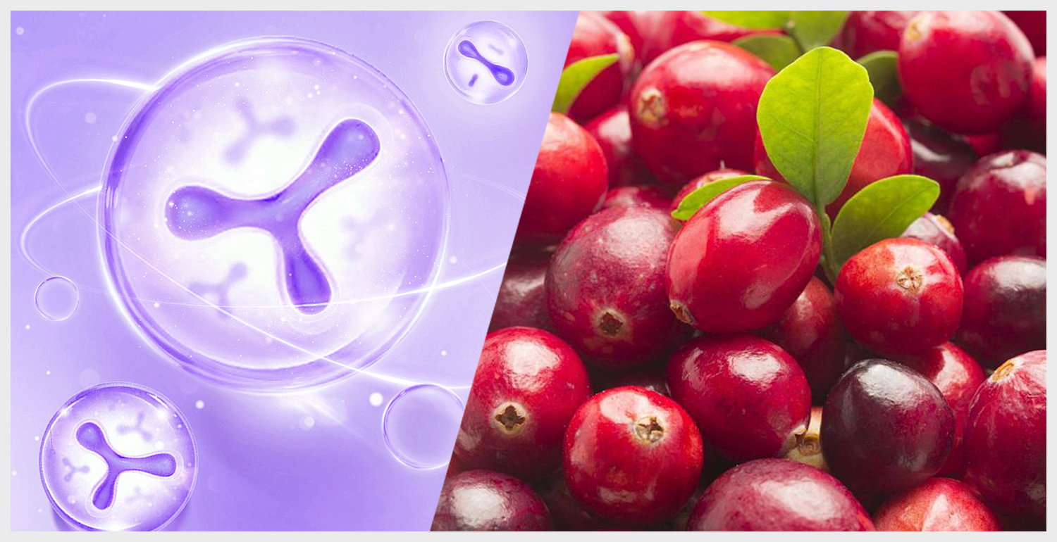 Reparaci&oacute;n de los m&uacute;sculos del suelo p&eacute;lvico (8)