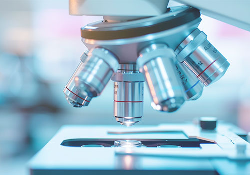 Proceso de dar un t&iacute;tulo