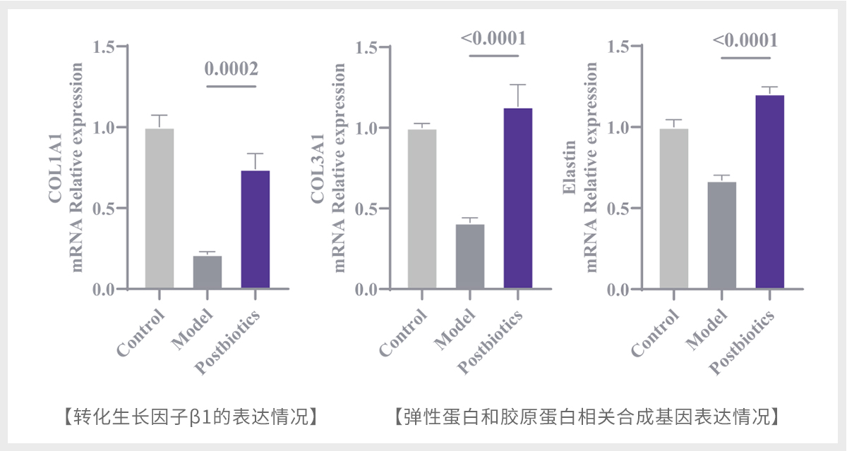 Reparaci&oacute;n de los m&uacute;sculos del suelo p&eacute;lvico (10)