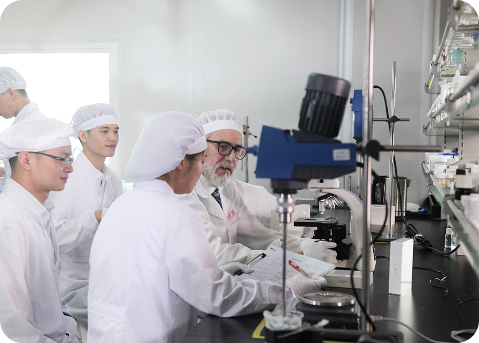 I+D multidisciplinar